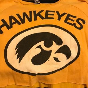 Vintage Iowa Hawkeye crop sweater